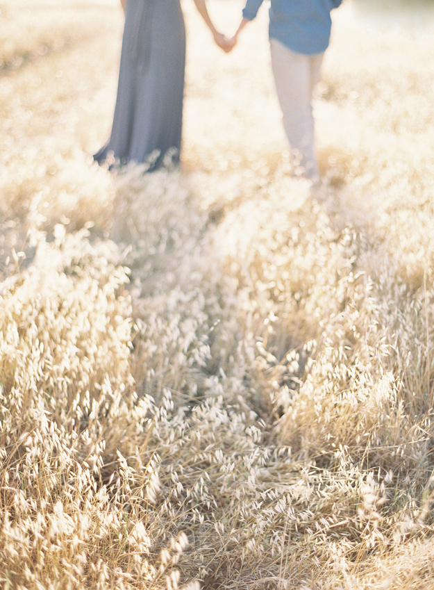 Fields of Gold Engagement 3