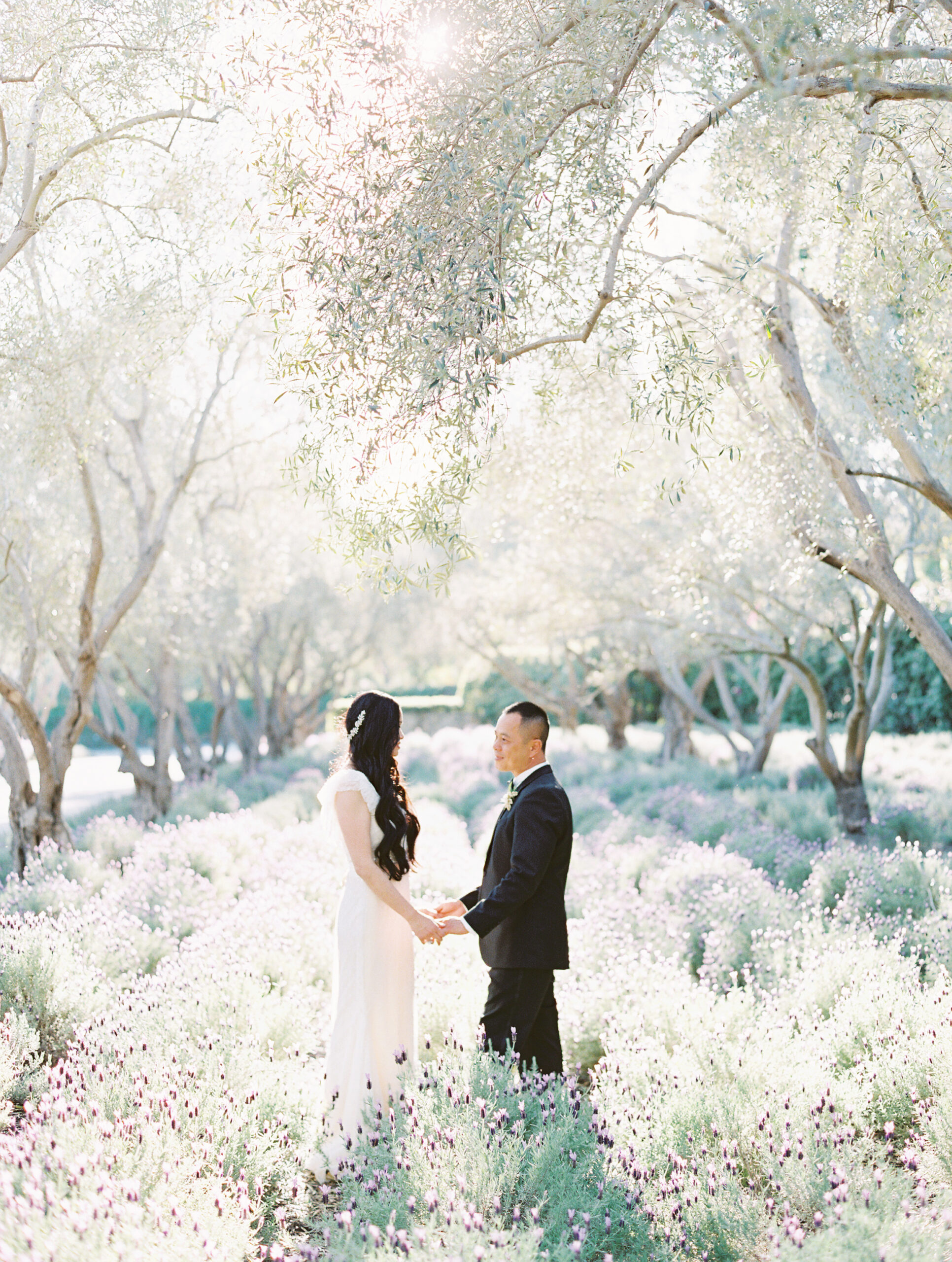 bride and groom in lavender and olive trees